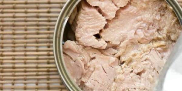 تصویر 1 از قیمت کنسرو تن ماهی شیان + خرید باور نکردنی